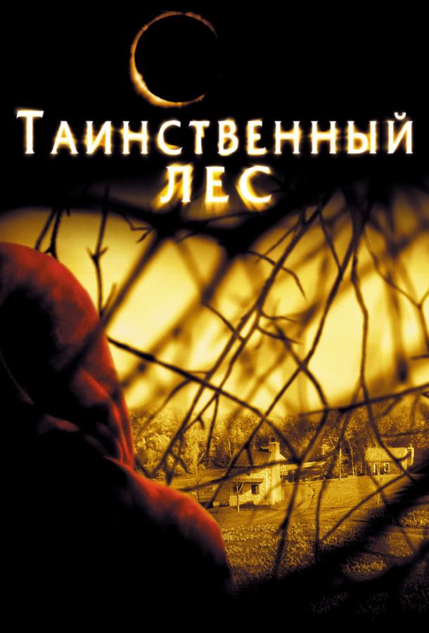 Фильм Таинственный лес (2004) смотреть онлайн бесплатно в хорошем качестве